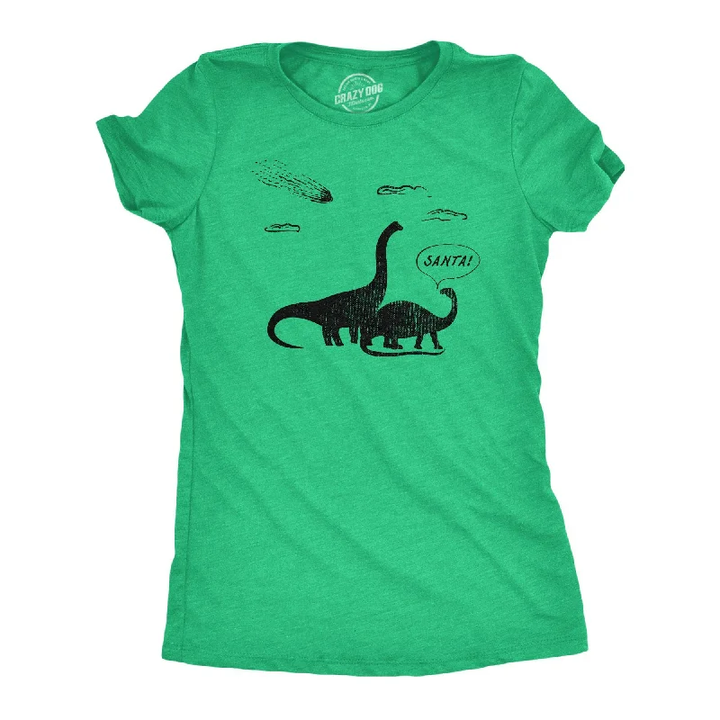 Vintage T-Shirt-Santa Dinosaurs Women's T Shirt